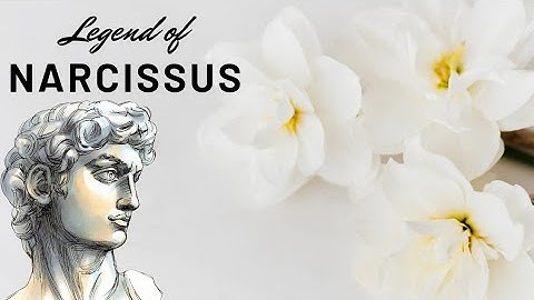 The legend of Narcissus source of Narcissim