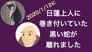 日蓮上人に巻き付いていた黒い蛇が離れた日 日蓮上人に巻き付いていた黒い蛇が離れた日
