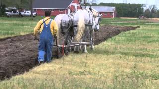 PLOWING WITH HORSES