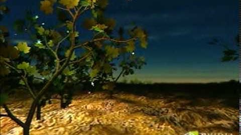 Transformation and Lighting