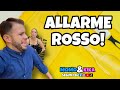 Allarme rosso! | TikTok Momo e Kika