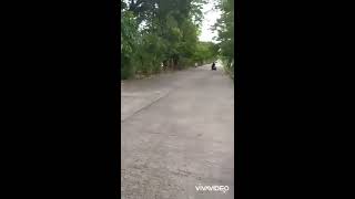 Stending Wely Wely Motor Standar