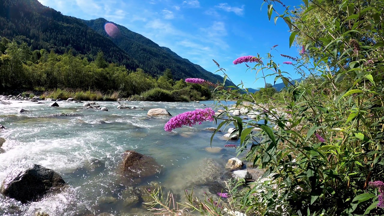 Музыка природы видео. Красивые фото моря высокого качества. Фото речки из мультика.