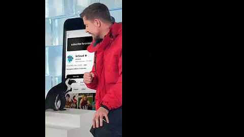 #penguin #helpmemakethismakesense #automobile #challenge #funny #tech #dance #youtube #love #daily