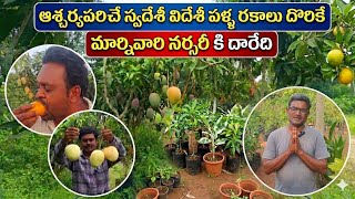 Exploring kadiyam,s Marnibrothers Nursery: Home of Rare &amp; Exotic Fruit Plants#gardening #plants 