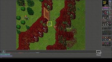 Tibia Rowana Some frags and one escape from a 280+ ms