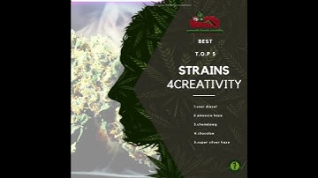 Whats Best strains for #creativity #newmusic  #beat review