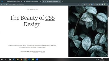 CSS Zen Garden - Team 9