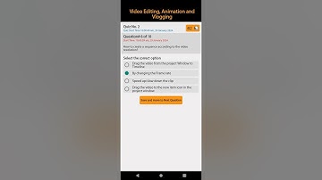 Video Editing, Animation and Vlogging| Quiz No. 2|DSTP 2.0| DigiSkills