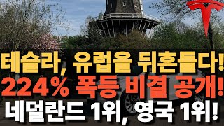 테슬라, 유럽을 뒤흔들다! 224% 폭등 비결 공개! 네덜란드 1위, 영국 1위!