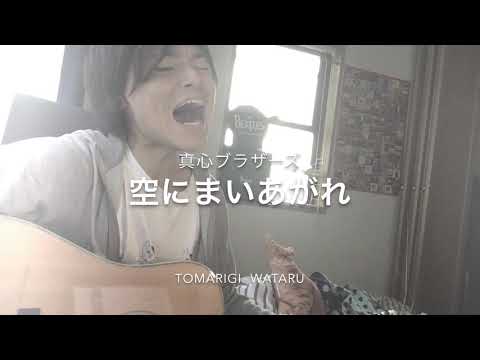 空にまいあがれ/真心ブラザーズ/acoustic cover/Tomarigi Wataru