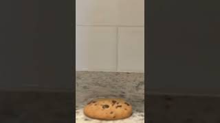 Cookie Stop Motion