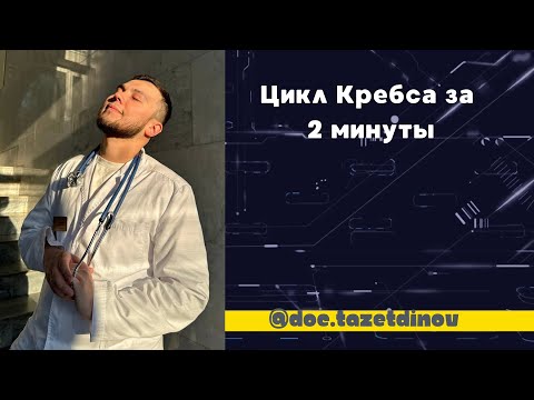 Цикл Кребса за 2 минуты