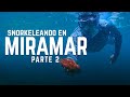 Snorkel y camping en Miramar Guaymas 2
