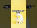 MBRI 멋쟁이 많은 순위 TOP5는?  #mbti #mbti쇼츠 #mbti특징 #mbti순위