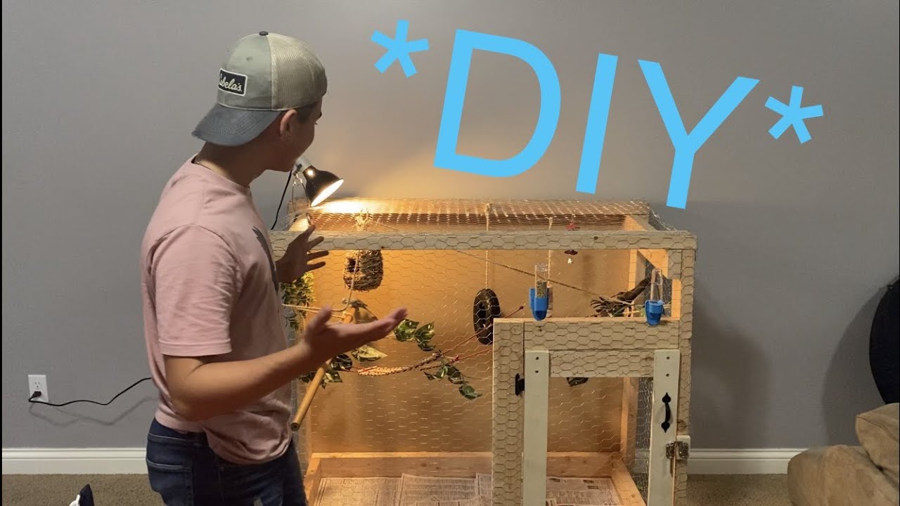 Building A Custom Bird Aviary DIY Photo Inspiration