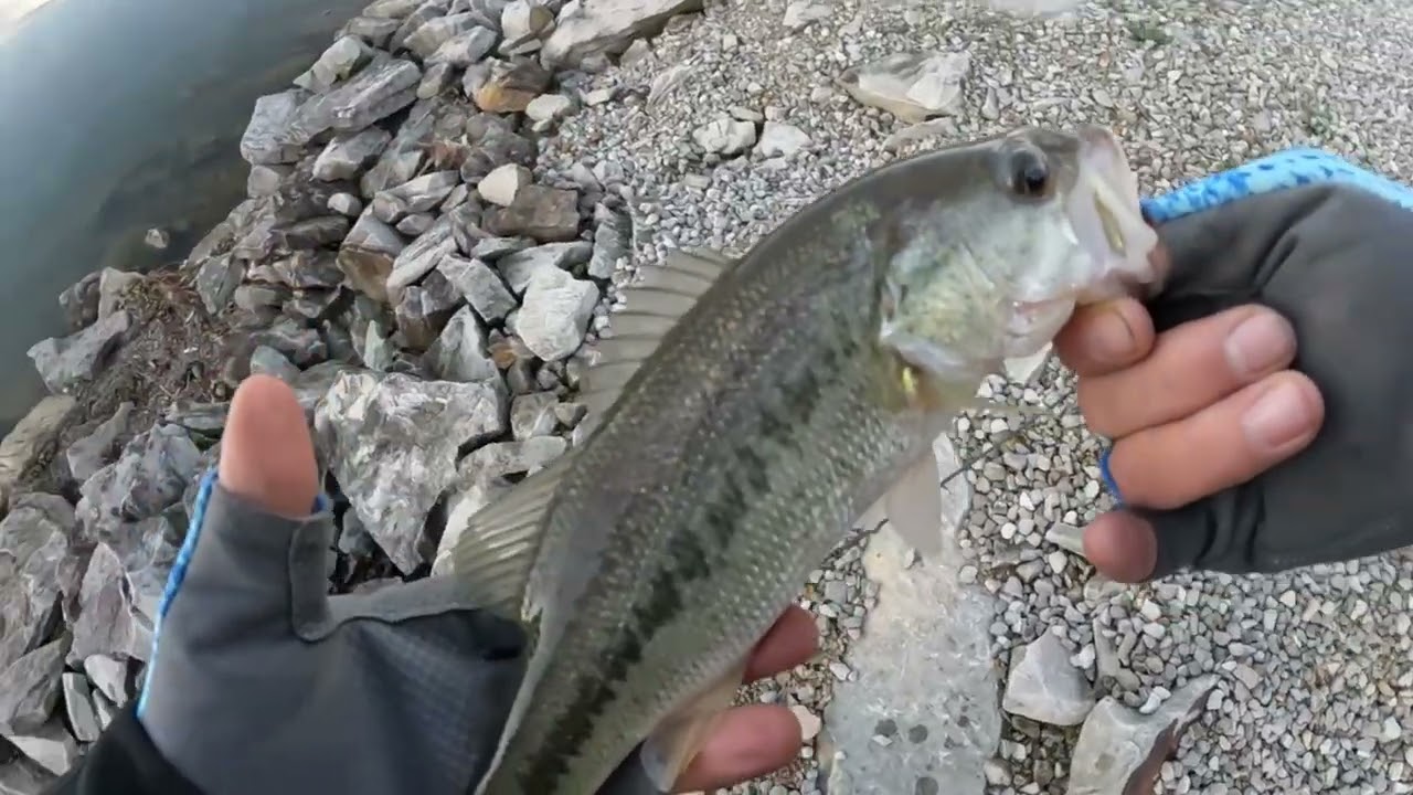 Fishing After Work #bassfishing #fishingfreak #bassfreak #fishingafterwork #fishing #fish #bassfish