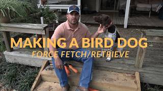 MAKING A BIRD DOG EP.5 | FORCE FETCH/RETRIEVE