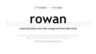 Pronunciation of Rowan | Definition of Rowan