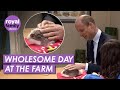 Prince william plays with adorable guinea pig at birmingham urban farm