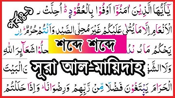 Surah Al-Maidah, verses~1 | সূরা আল মায়েদাহ, আয়াত~১ | سورة المائدة | surah maidah bangla┇sura maeda