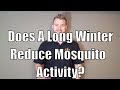 Does a long winter reduce mosquito numbers?