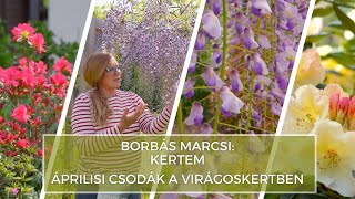 Borbás Marcsi: Kertem - Áprilisis csodák a virágoskertben