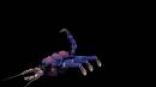 Spore Bug