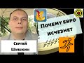 Сергей Шишкин - Почему евро исчезнет