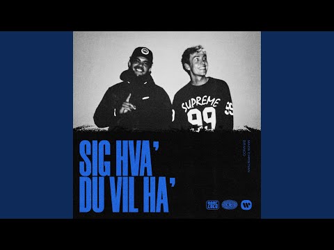 Sig Hva Du