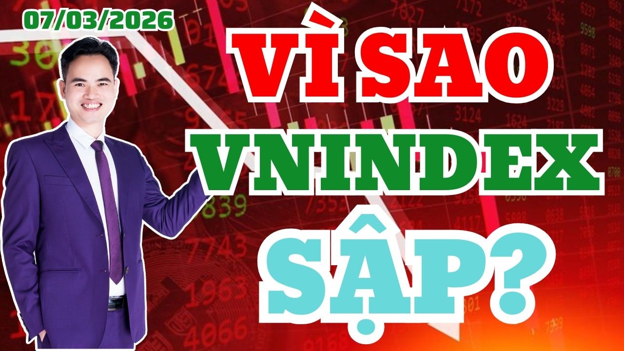 Vì sao VNINDEX sập | Tuần tới có sập tiếp không | Nên bán hết hay mua bắt đáy?