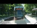 Straßenbahn Brandenburg an der Havel 2019 Linie 1