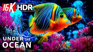 Harmony of the Abyss – 16K HDR ULTRA HD – Radiant Currents & Silent Depths