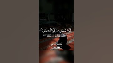 أَمَّنْ هُوَ قَانِتٌ آنَاءَ اللَّيْلِ سَاجِدًا وَقَائِمًا | مقام النهاوند - القارئ نجم النعيمي ❤️😍