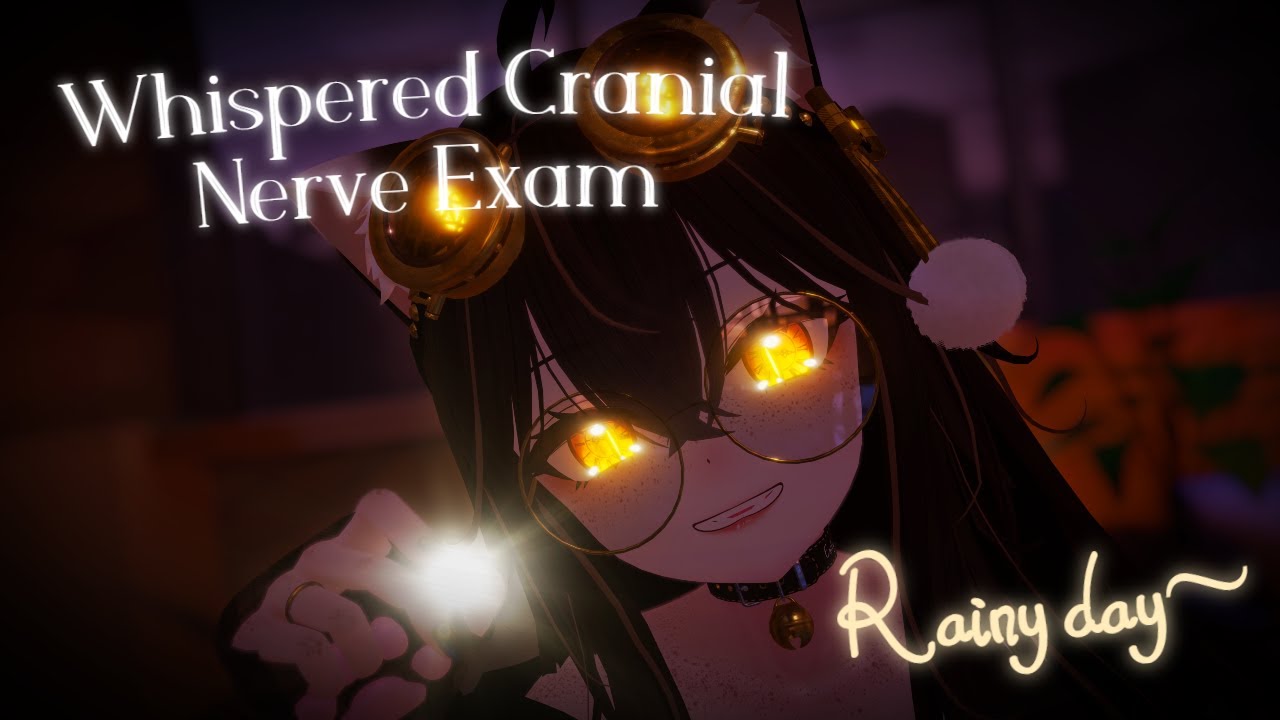 ASMR | Rainy Day Whispered Cranial Nerve Examination
