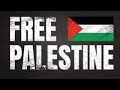 Update on gaza palestine  save palestine  free palestine  vinaydubeymumbai 