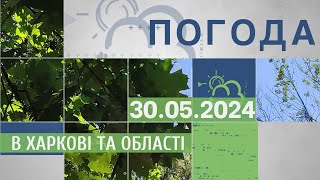Прогноз погоди в Харкові та Харківській області на 30 травня