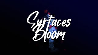 Surfaces - Bloom