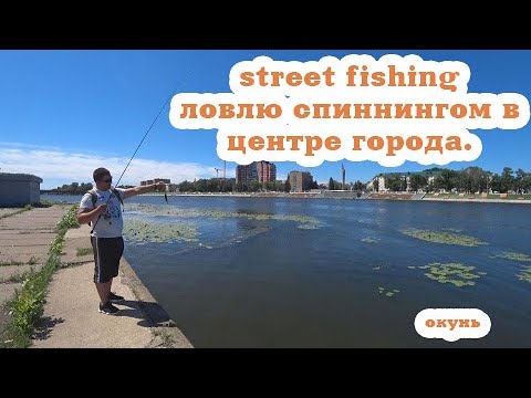 Street fishing.Ловлю спиннингом в центре города. Рыбалка на спиннинг. Микроджиг.Окунь.Пенза.Росток.
