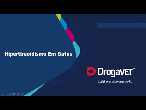 Webinar DrogaVET SP - Hipertireoidismo Em Gatos