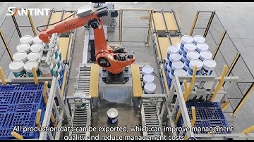 Automatic Stone Paint Filling and Palletizing Production Line