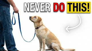 Celebrity Your Dog Doesn't Trust You? Here's Why Net Worth
