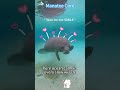 Manatee core#foryoupage #funny #funnytiktok #foryou #fypシ #animals #funnyvideos