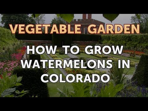 How to Grow