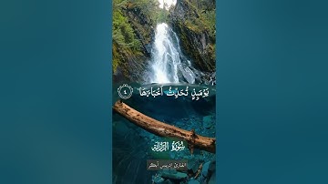 ادريس ابكر  ـ سورة الزلزلة