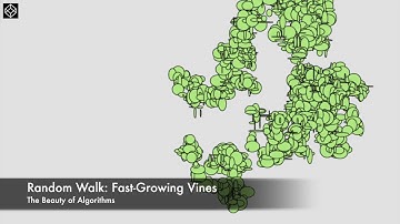 [The Beauty of Algorithms] Random Walk: Fast-Growing Vines
