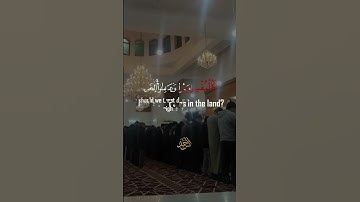 فويل للذين كفروا من النار🍂| القارئ أنس أحمد