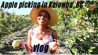 Something fun to do in Kelowna - Apple picking experience