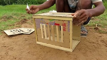Primitive Technology: Simple DIY Bird Trap Make from Cardboard That Work 100% By Smart Boy