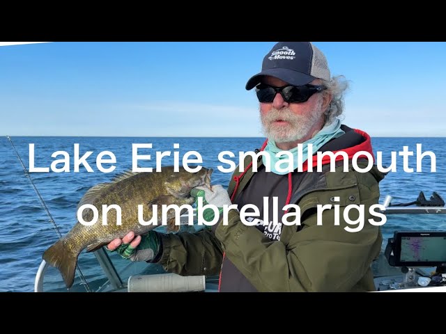 Umbrella Rig Fishing for Fall Smallmouth 